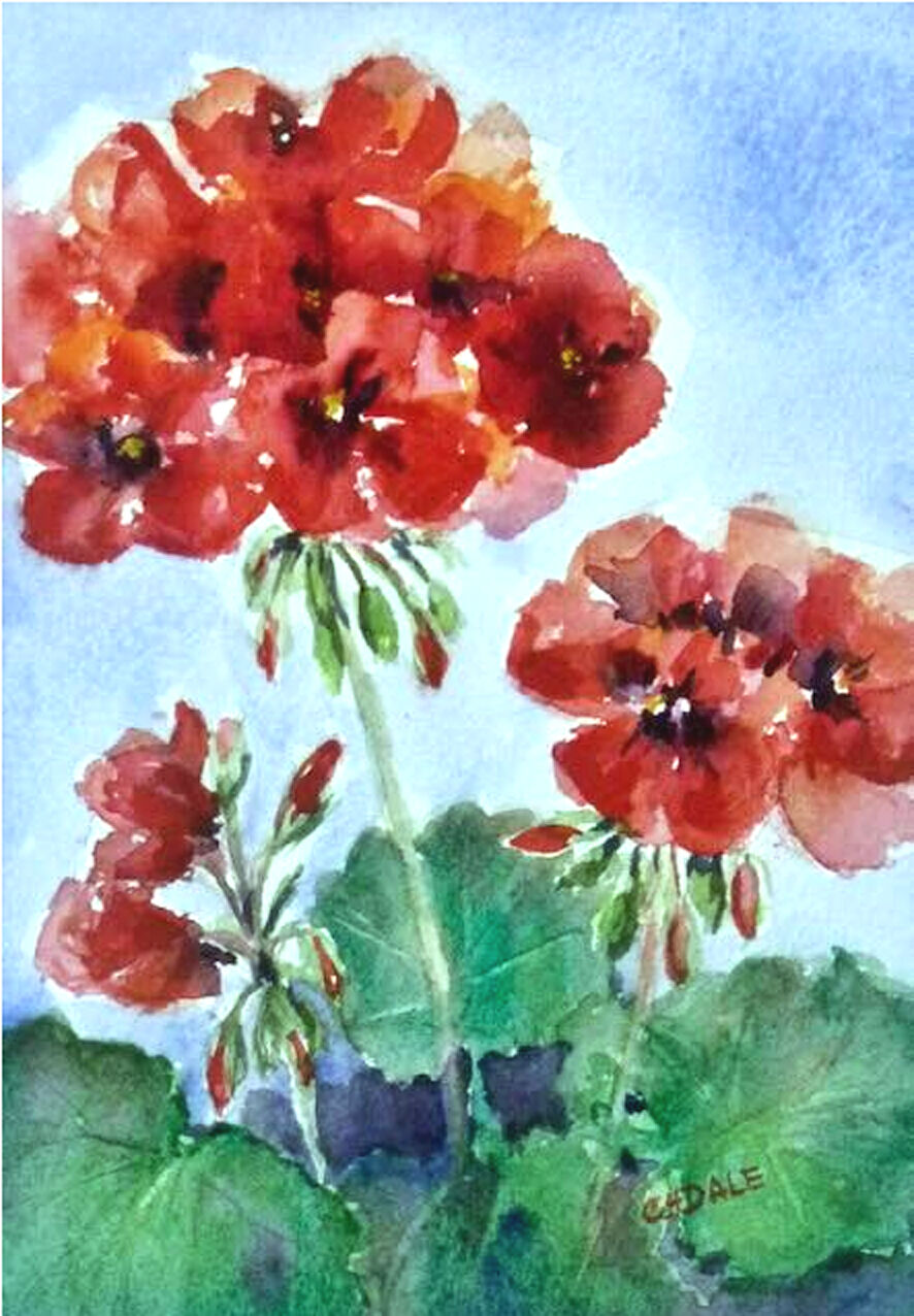 LCAA Lancaster County Color Show